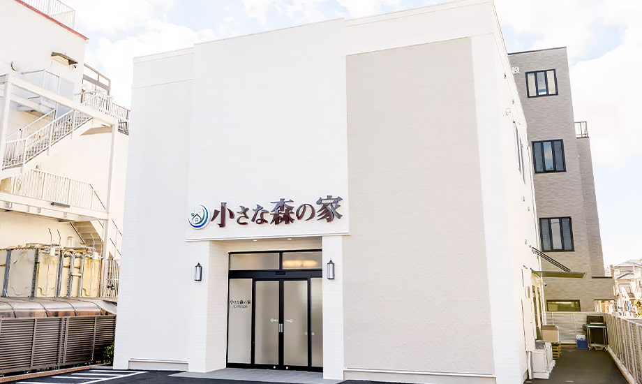小さな森の家　江戸川大杉